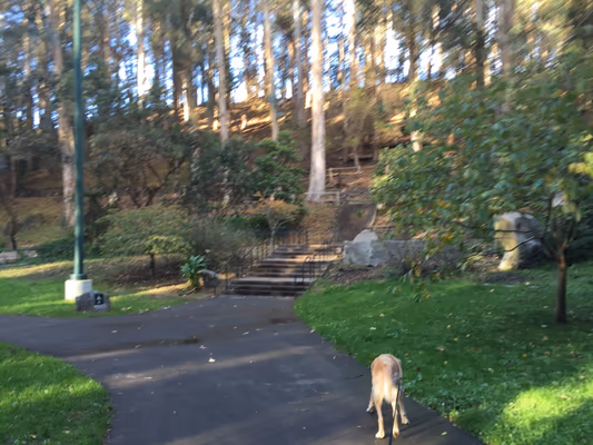 Stern Grove Dog Play Area photo 2